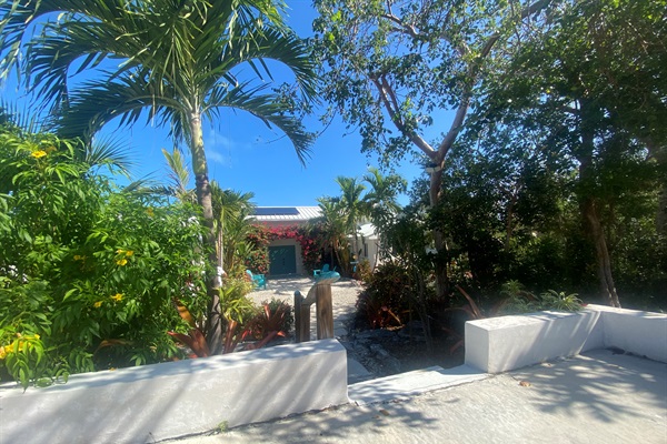 Steps down from the parking area is the front entry surrounded by lush tropical trees and plants.  