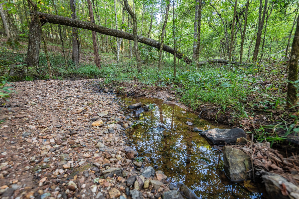 Creek on property is seasonal.