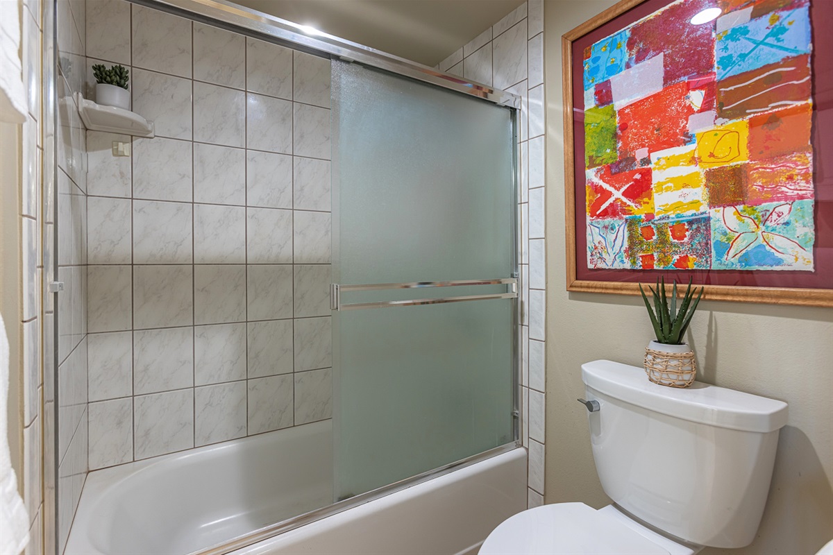 Water Closet with Tub/Shower Combo