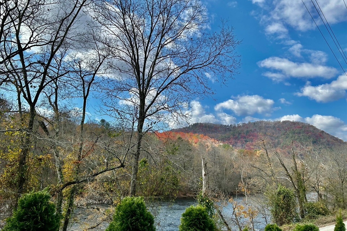 Scarlet red oak trees on a late November afternoon across the river 