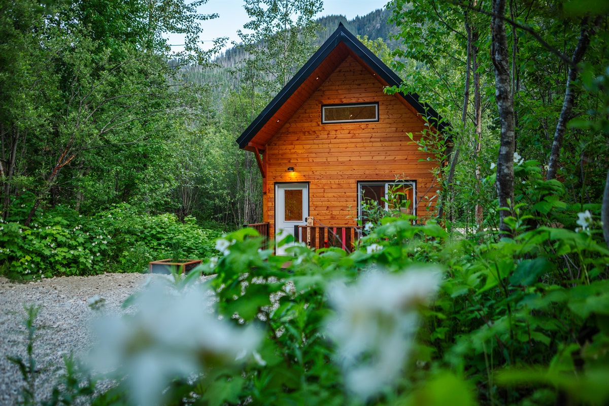 Luna Lodge amongst summer flowers