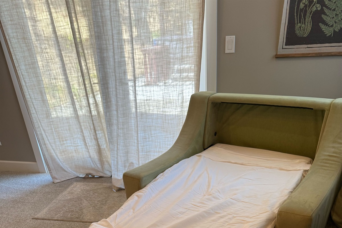 Chair that turns into a twin pull out bed