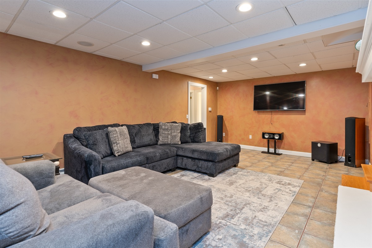 Lower level living room