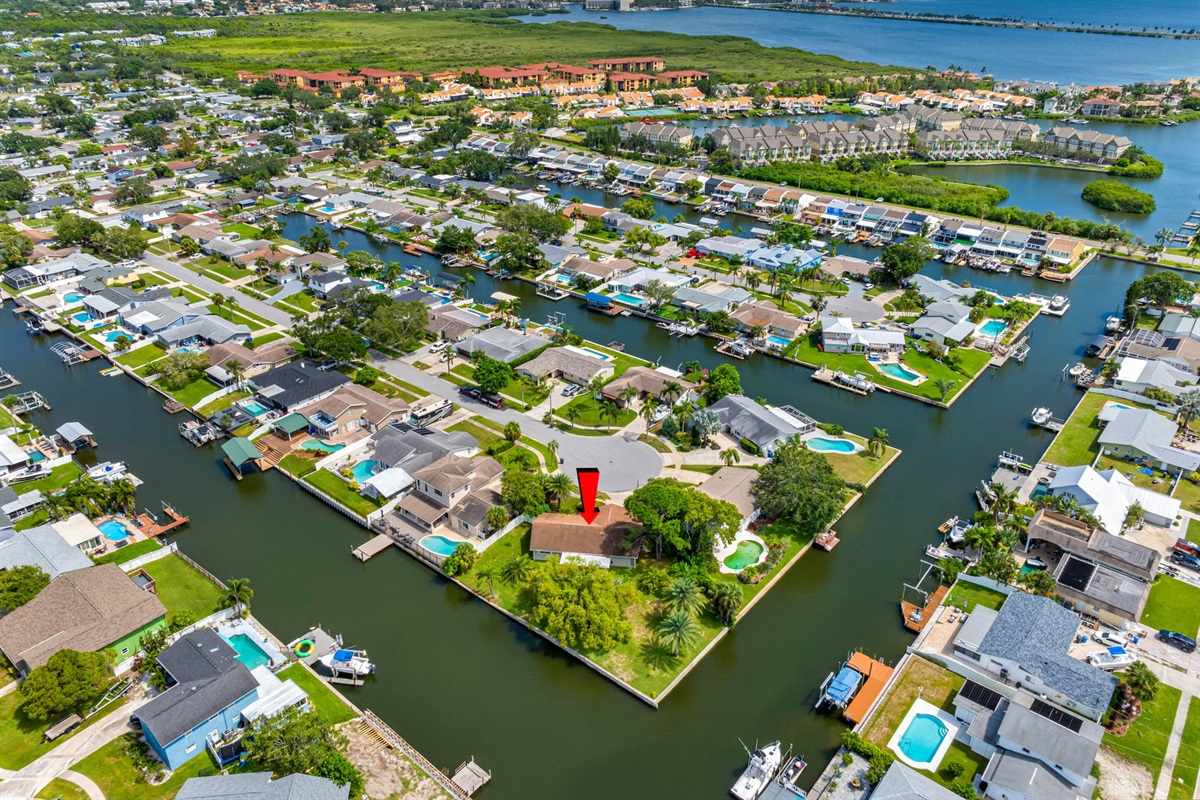 Aerial View of the Neighborhood
