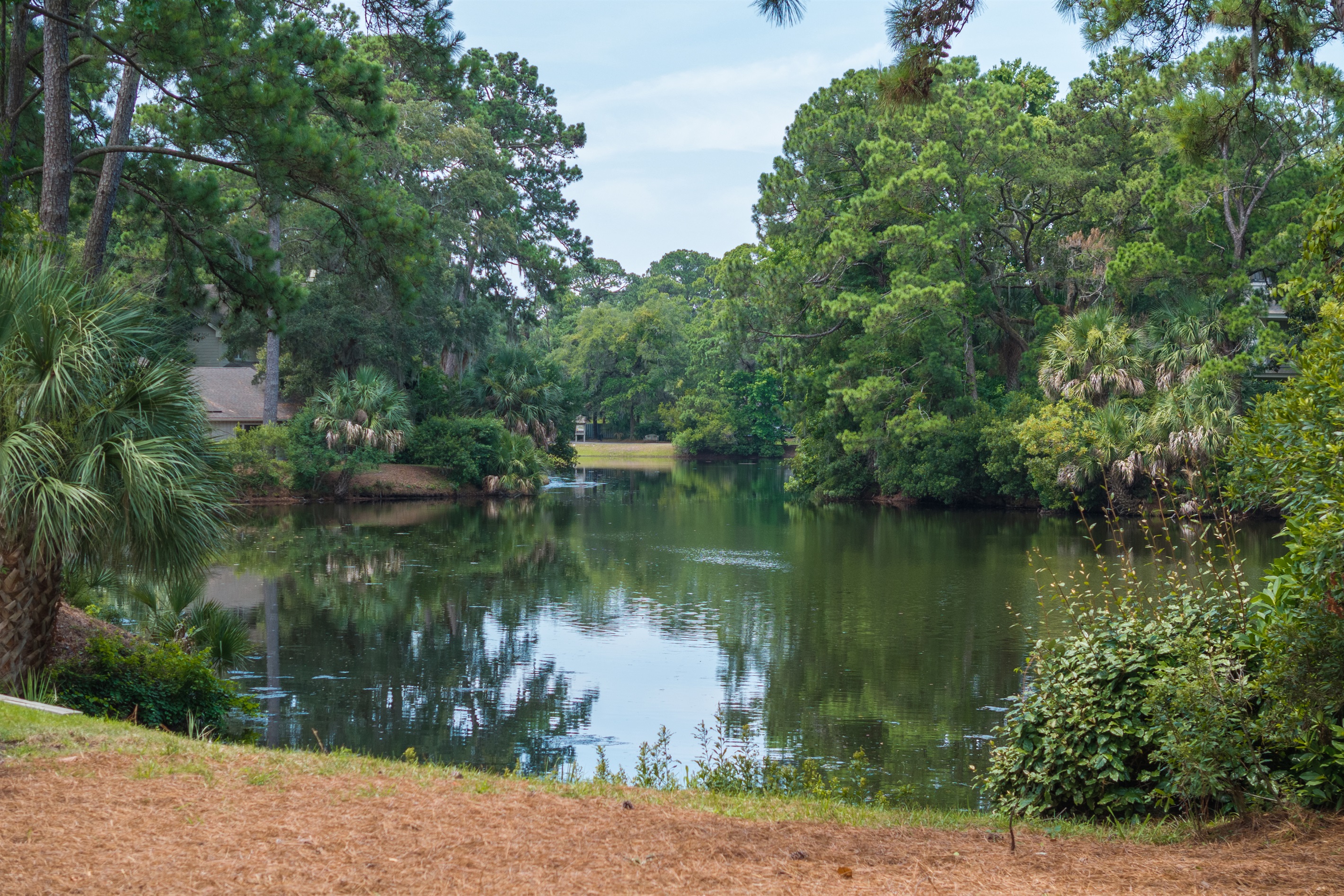Tranquil view of Heritage Pond all the way to S. Sea Pines Drive