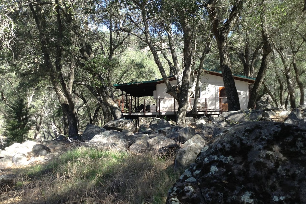 House in the Woods on the 67 Acre Ranch