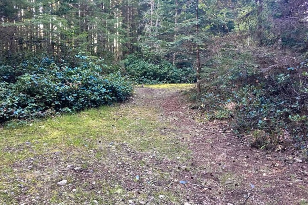 More Paths