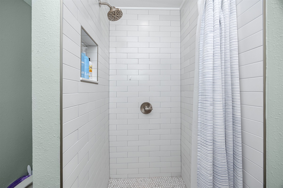 Main Bath Shower