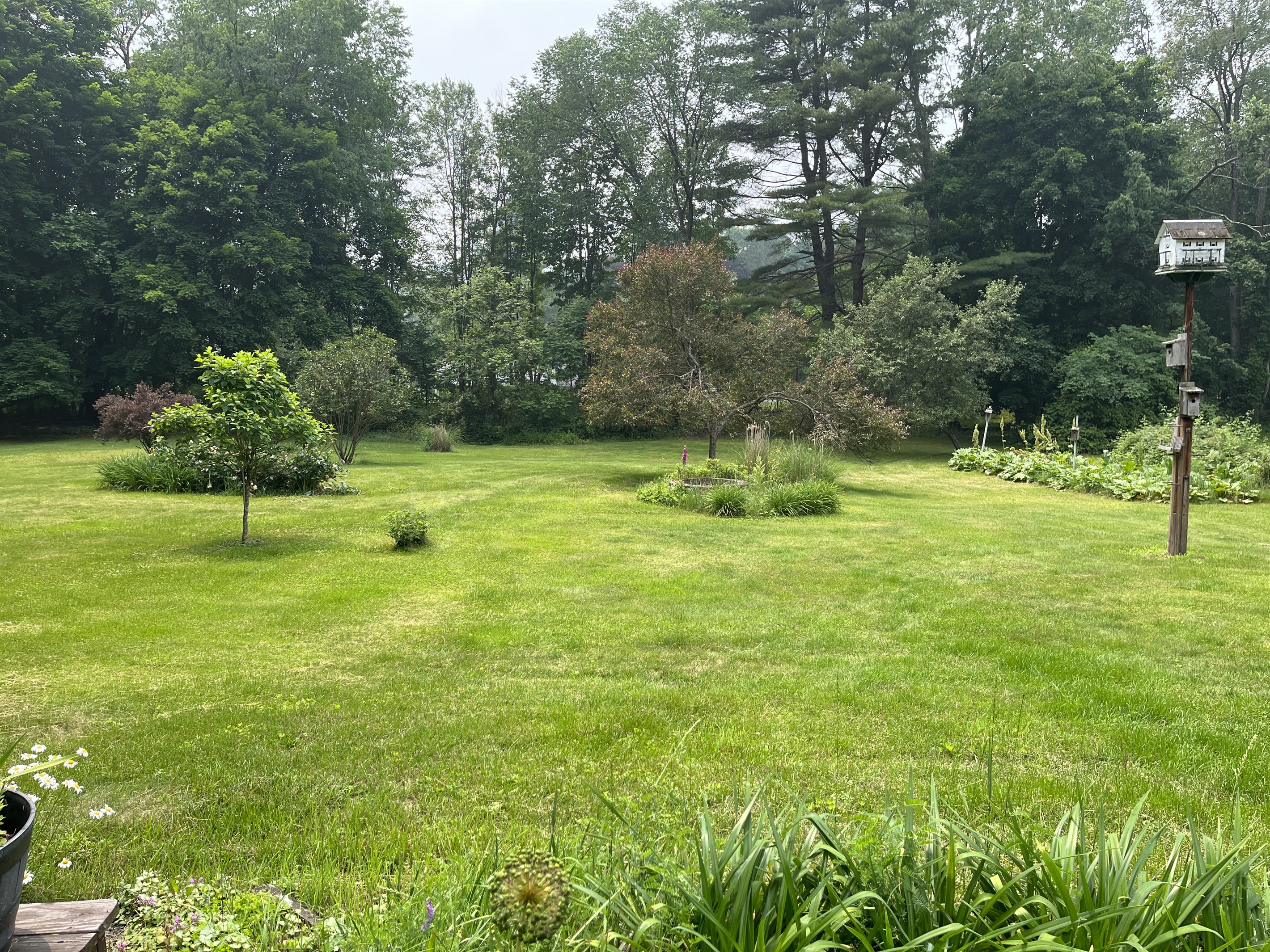 Back yard and gardens