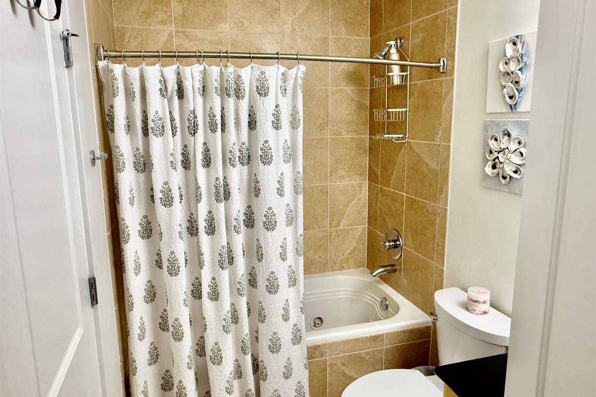 Tub/Shower combo.