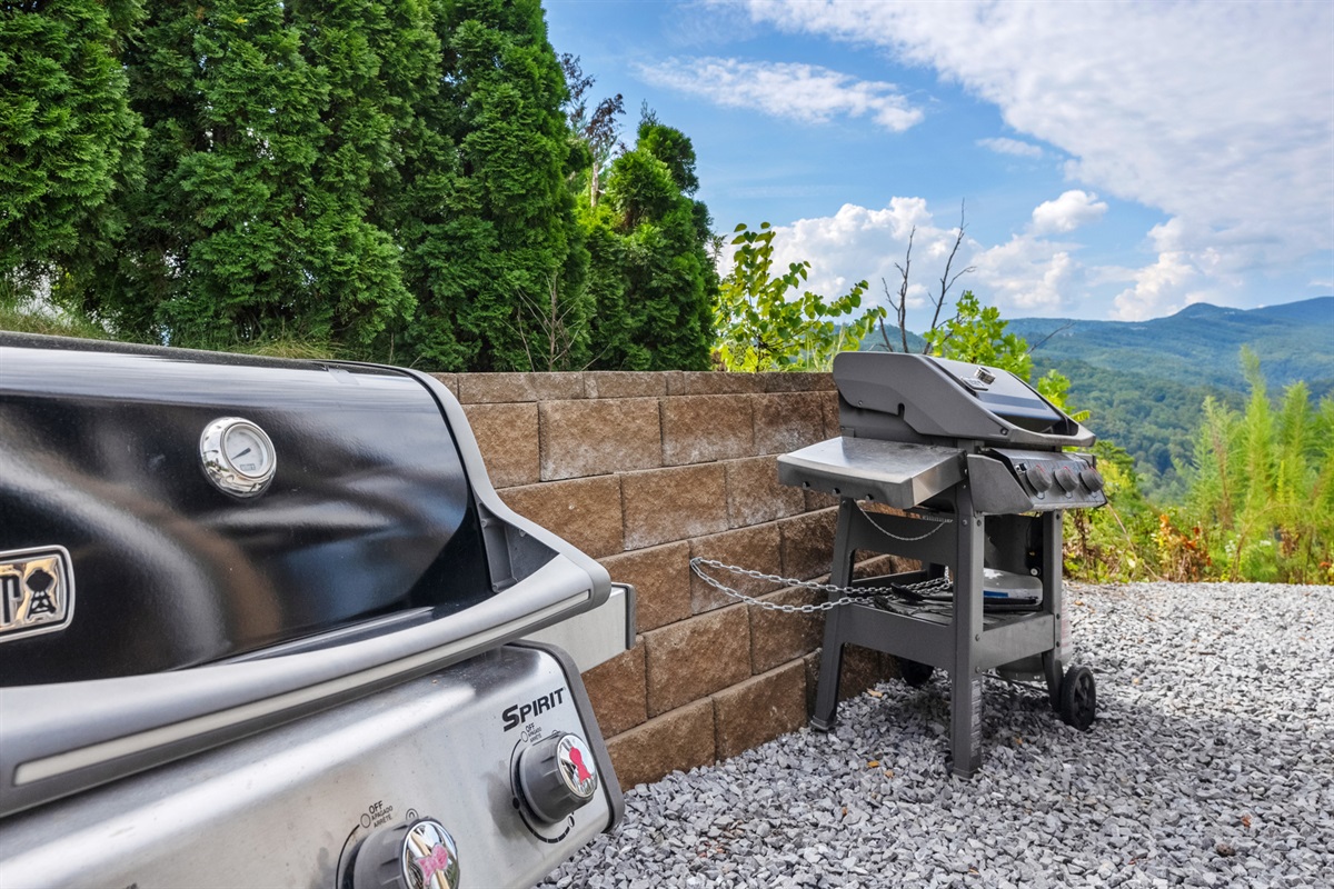 The back deck is right by the barbecues. Stay with your food while cooking. We get lots of bears. They like barbecue too.