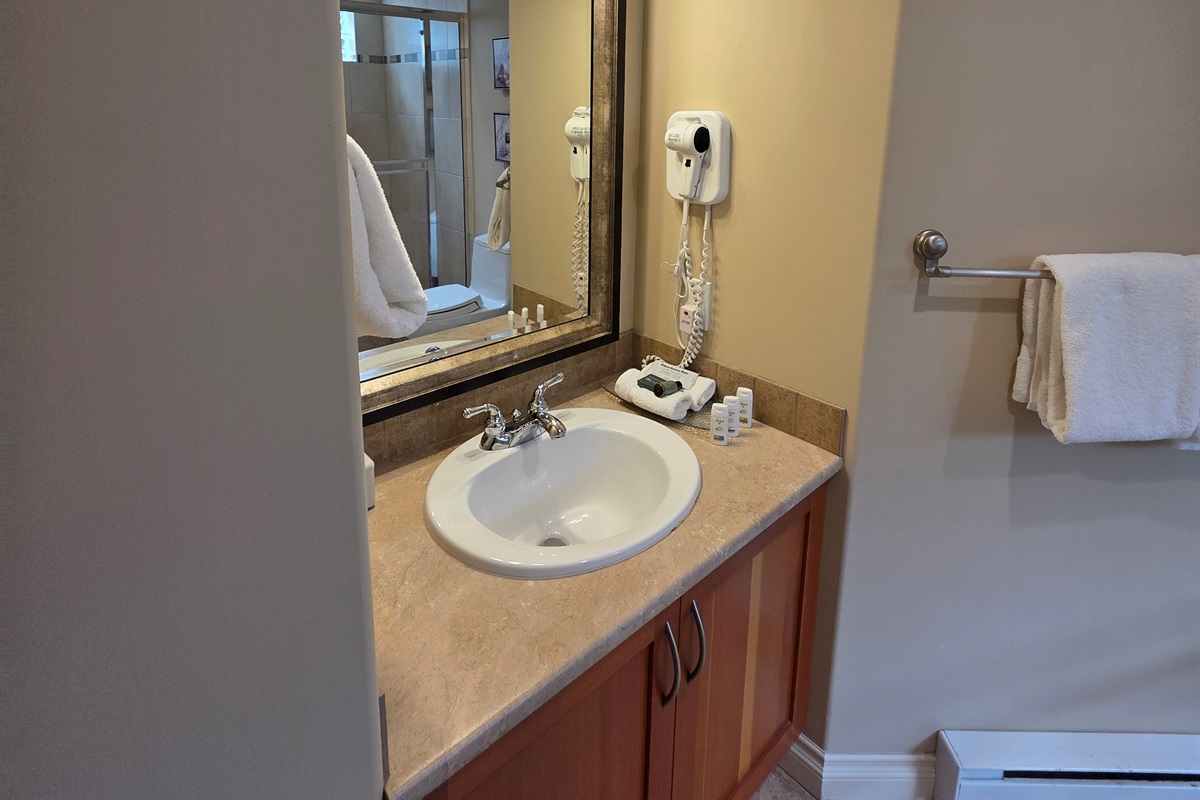 Vanity Area in Unit A.