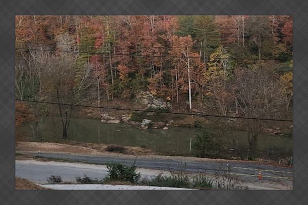 Fall color