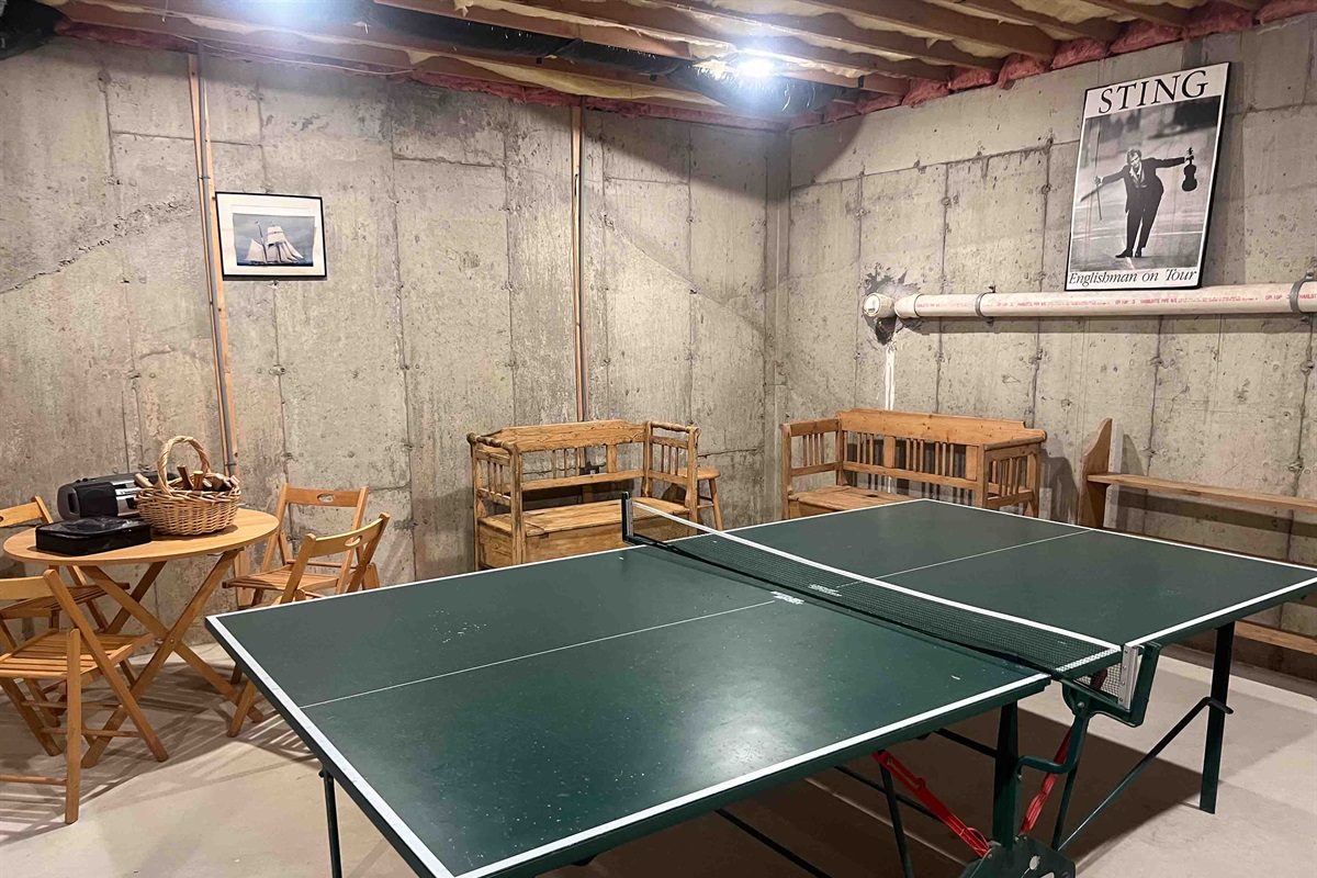 Basement Game Room