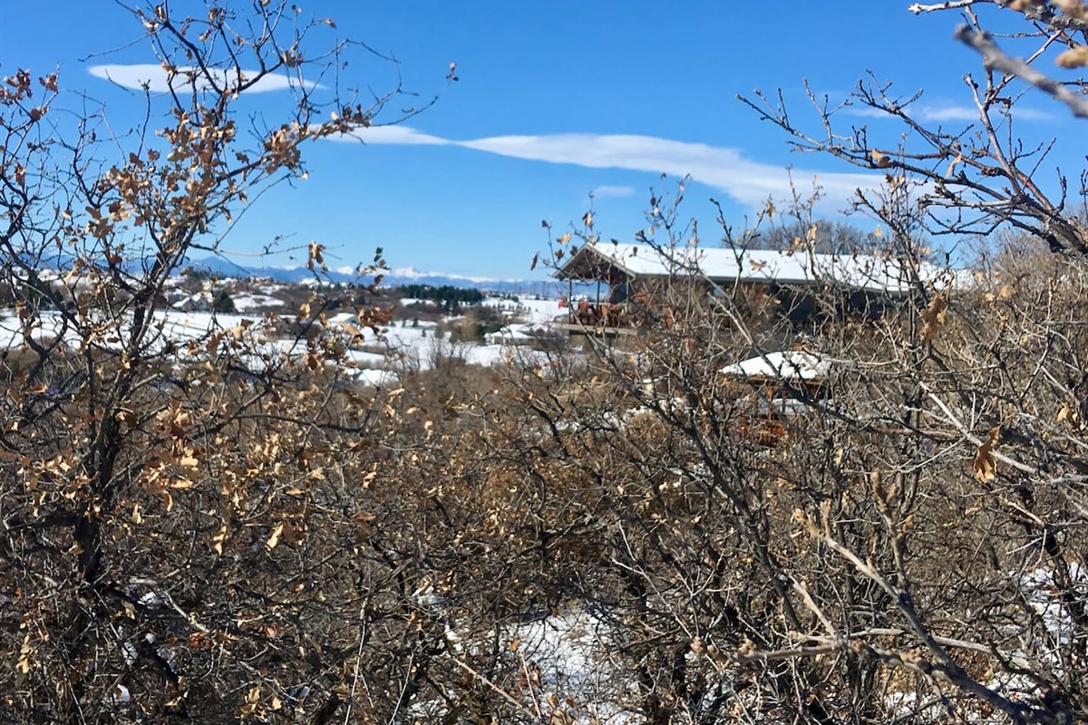 Beautiful winter days!