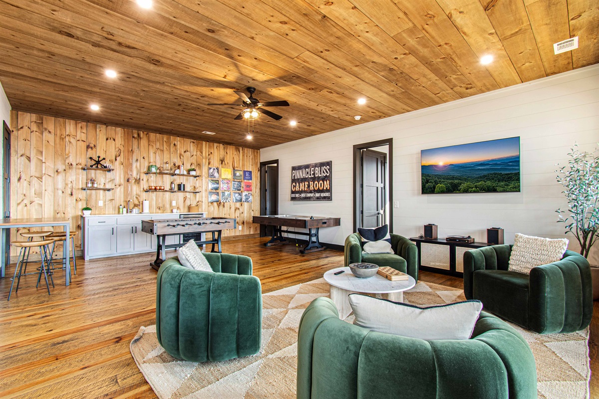 65in TV with Roku and a Vinyl record player