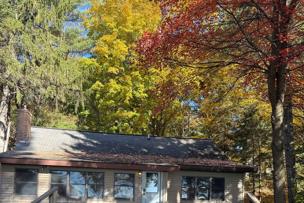 The colors in Lake Ann are simply gorgeous, especially with the afternoon sun drenching them everywhere.