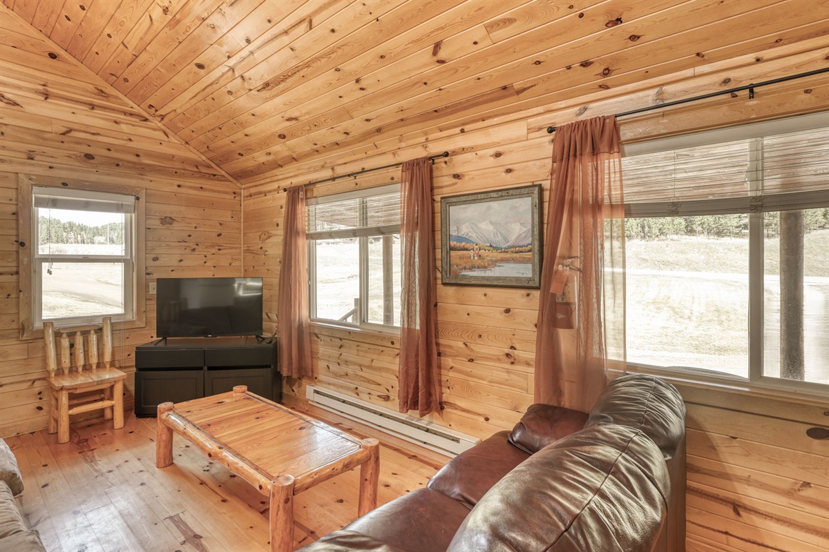 Living area with TV and sofa