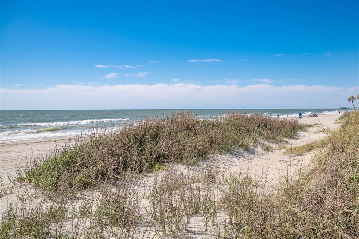 Garden City Beach view from private beach access. 