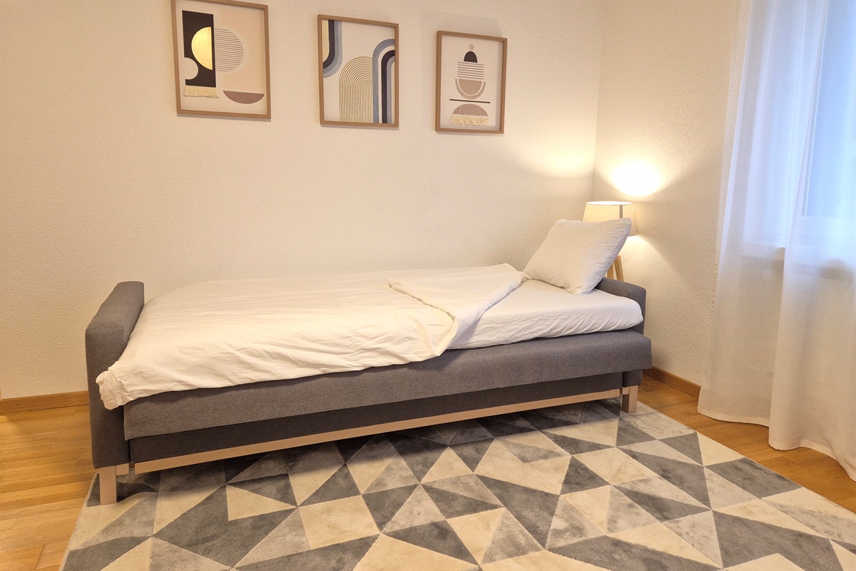 Sofa bed in living room made