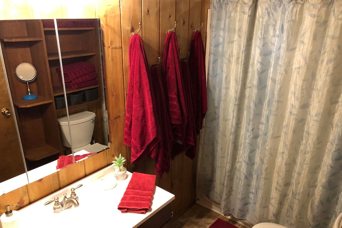 Curling iron, blow dryer and makeup mirror available for use.  Mirror is a medicine cabinet for more storage.