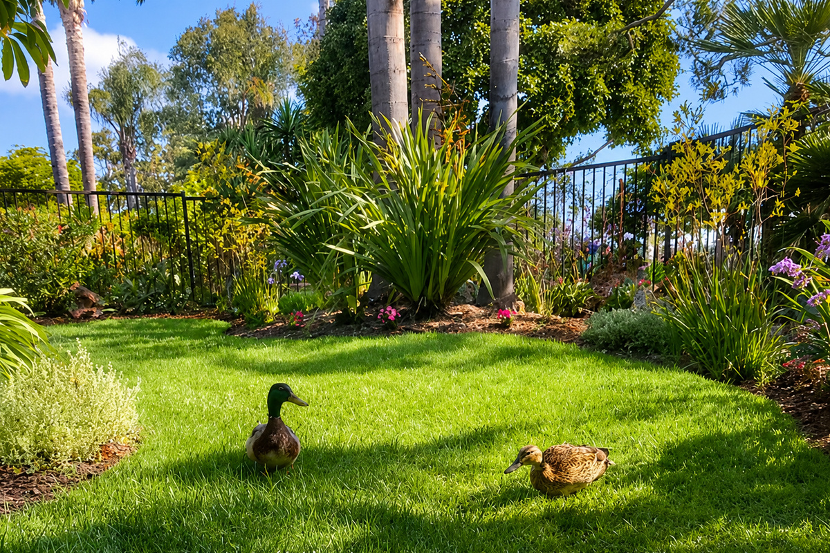 Local wildlife may visit the garden