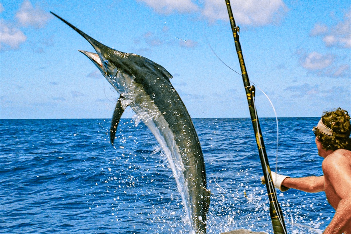 Sport Fishing From Los Sueños Marina