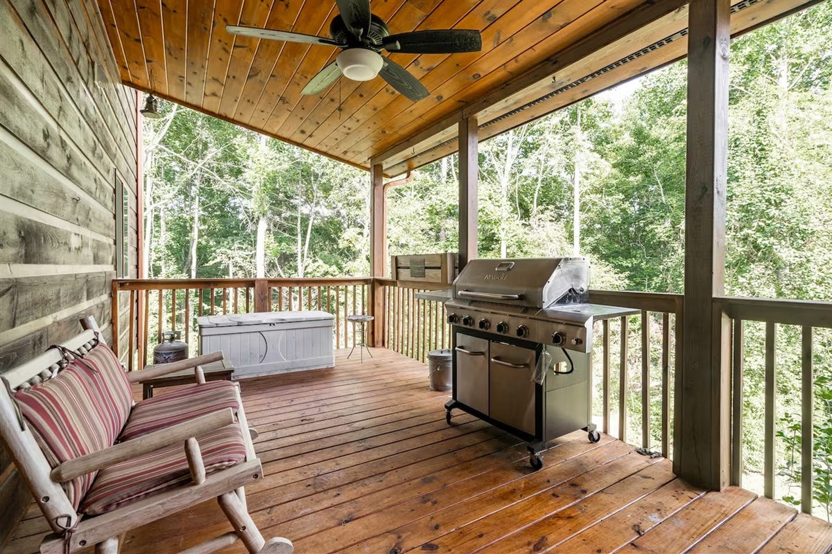 barbecue grill back porch