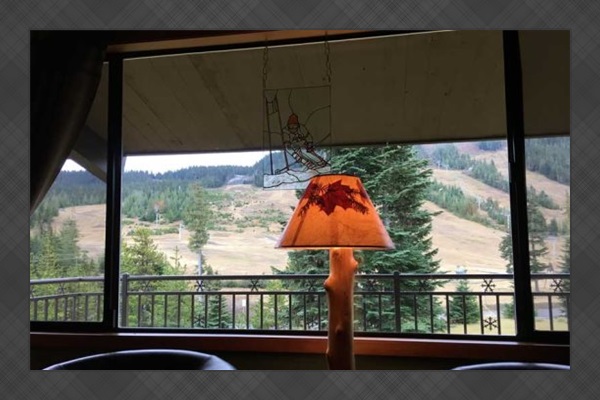View from living room window.