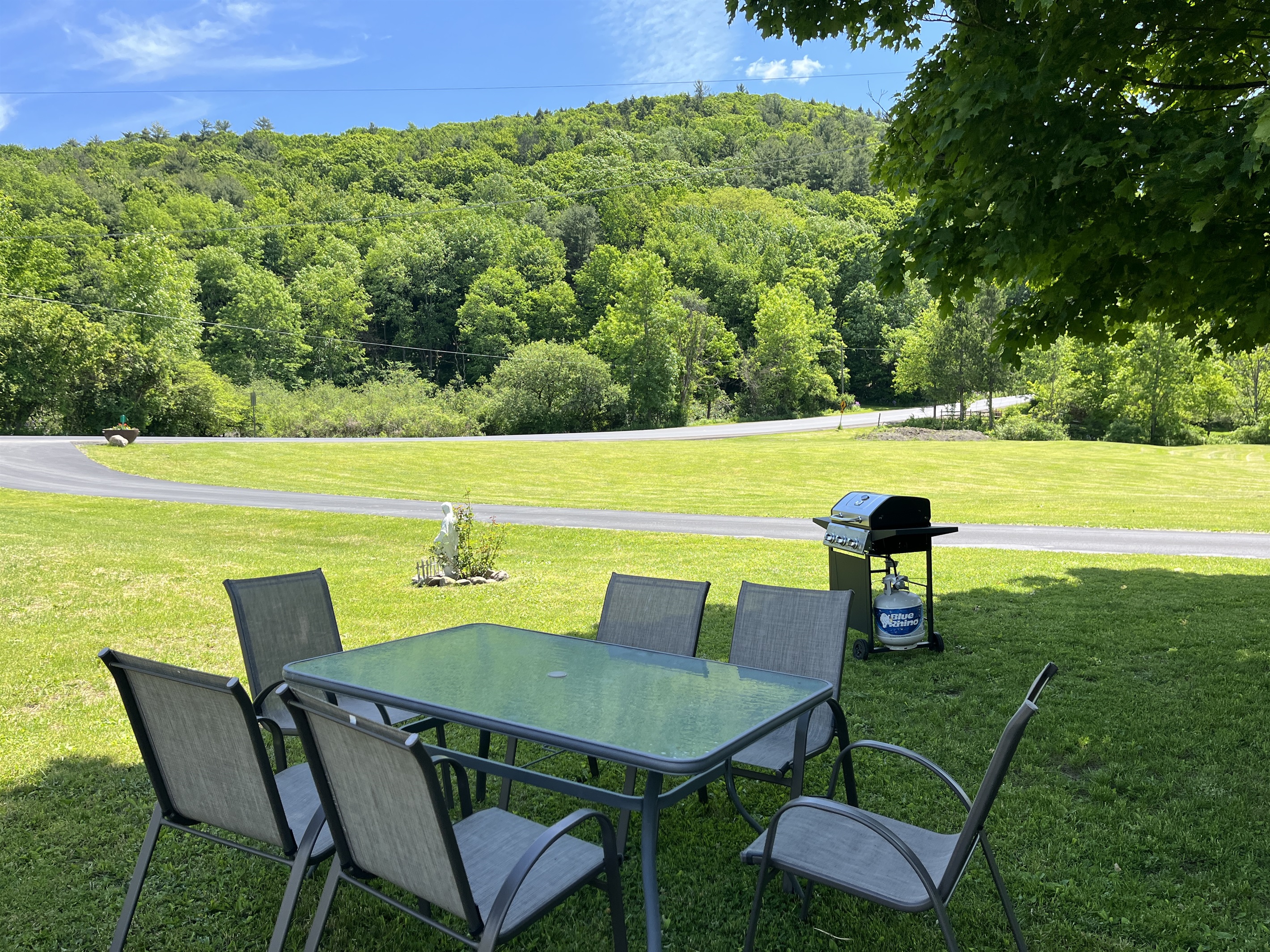 Picnic and BBQ area