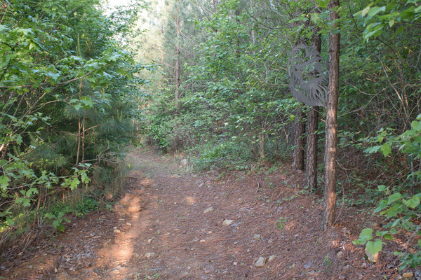 Main private wooded trail on the property leading through the acreage toward the waterfront area.