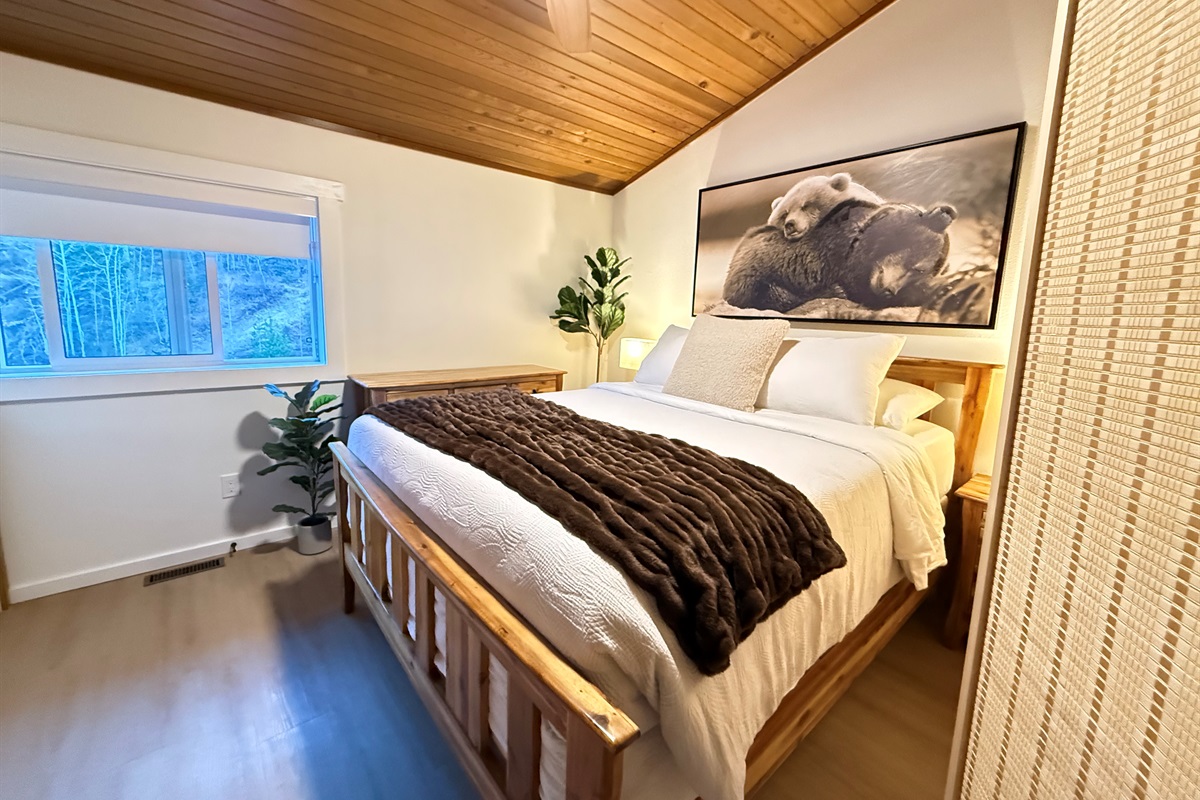 Comfortable queen size bed and an optional privacy screen for when the murphy bed is set up. 