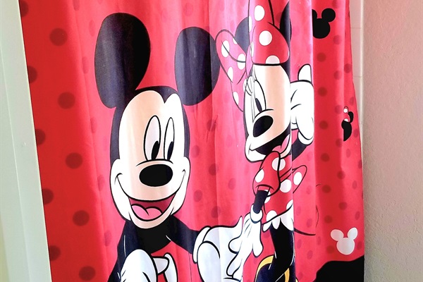 Separate shower &  separate toilet in upstairs hall bathroom