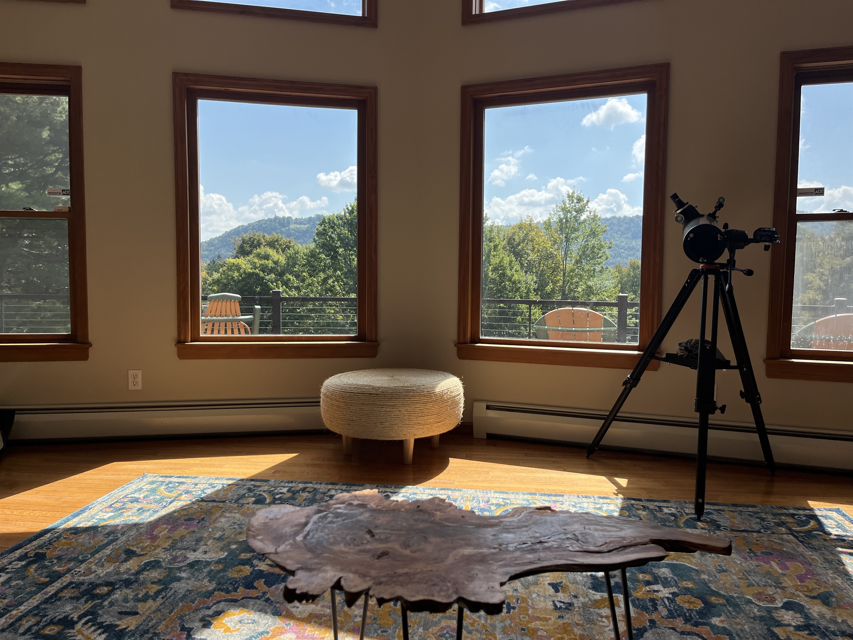 Best seat in the house!