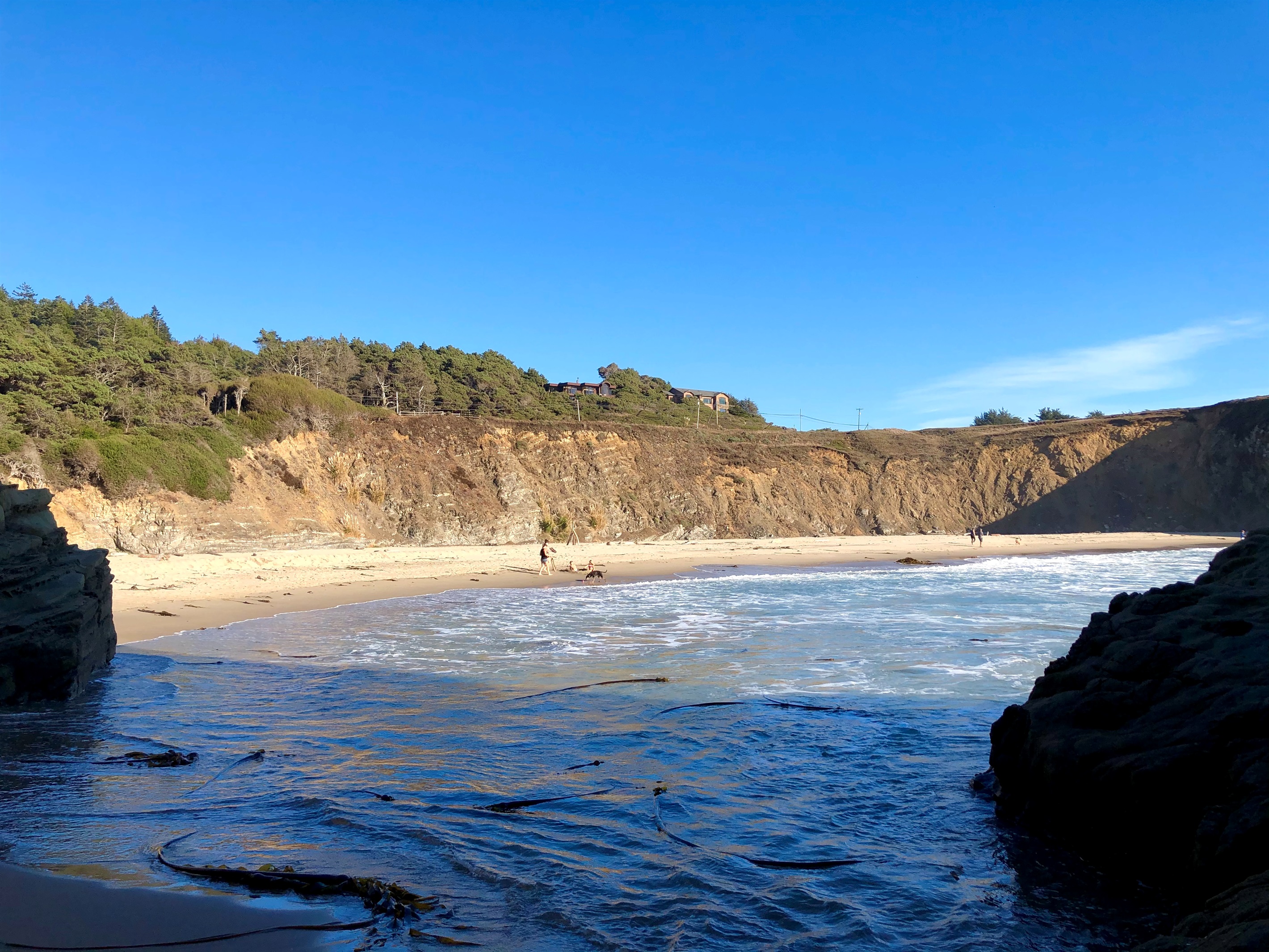 The entrance to Cook's Beach is 1600 feet from the house.