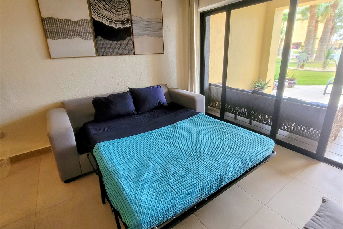 Pull out queen sofa bed