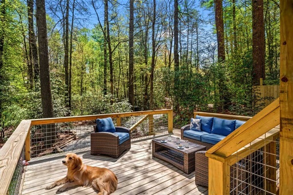 Ample deck space is provided with comfortable cushioned outdoor sofa and chairs.