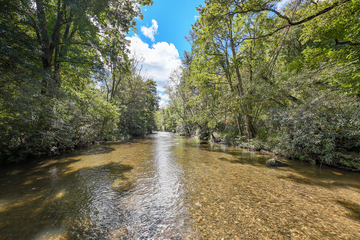 Clear water and tree-lined banks await just behind Robbin’s Nest on Snowbird Creek—a beautiful setting for trout fishing or simply enjoying the view.