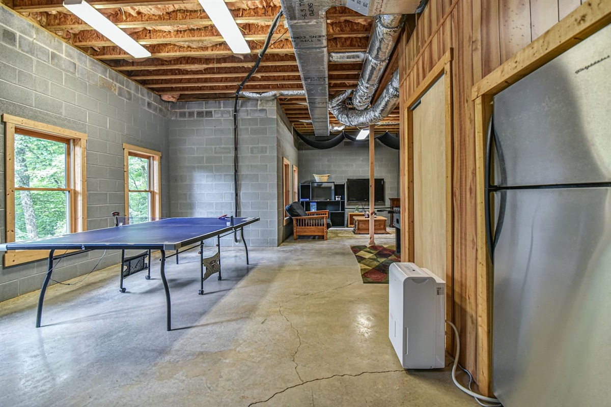 Game room - second fridge