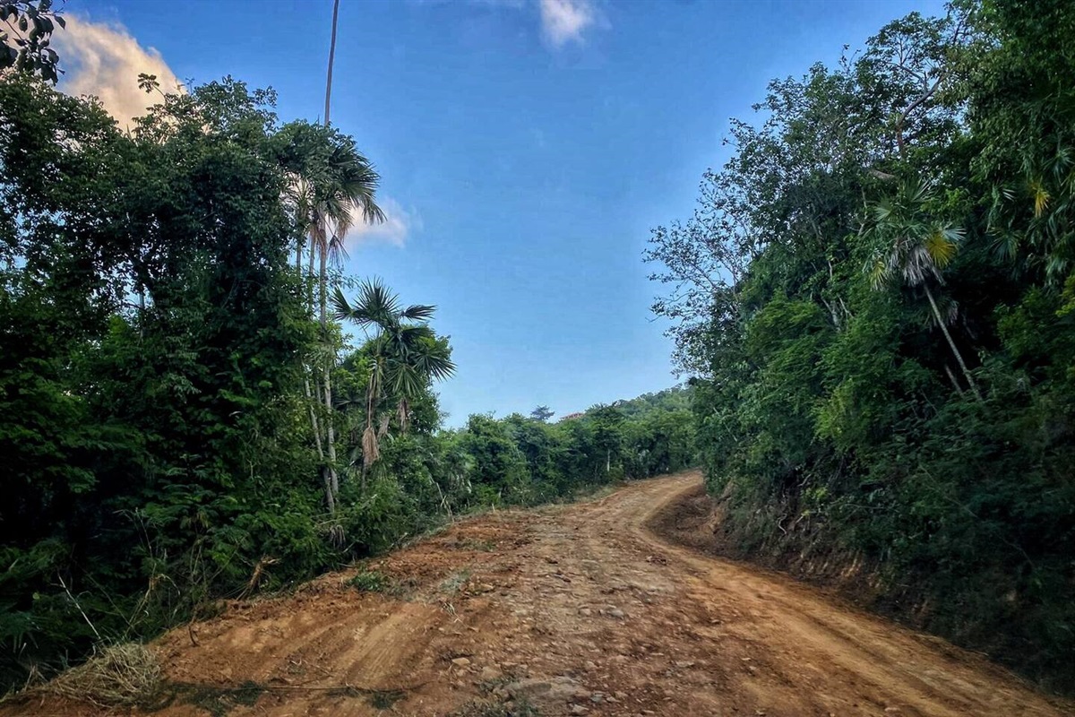 "Located partway down the mountain, the home is quiet and private with a gate and the driveway."