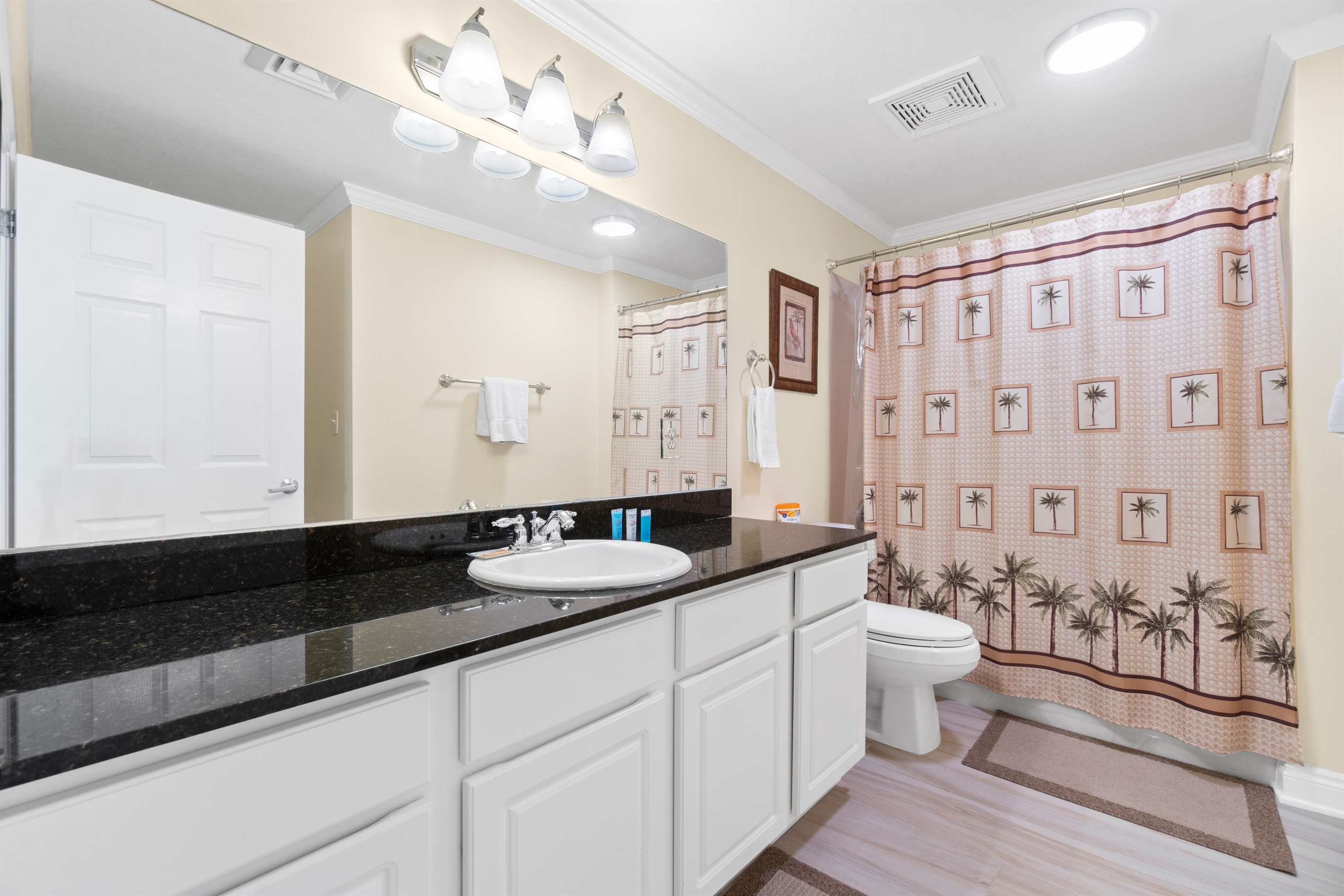 Hallway bathroom granite counters