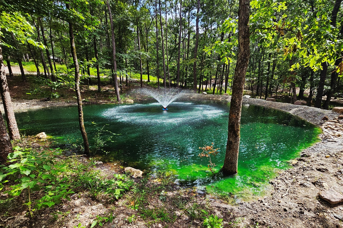 View of the Pond