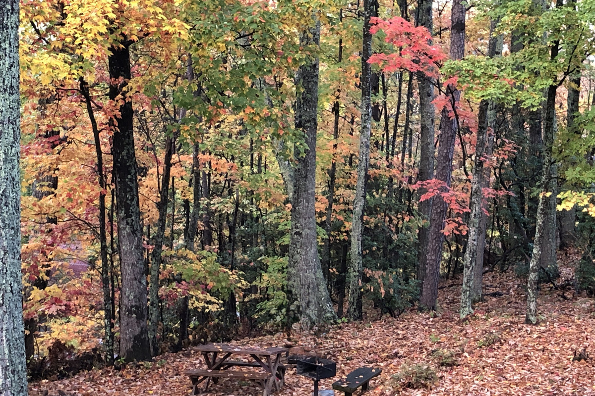 FALL PICNIC AREA & GRILL