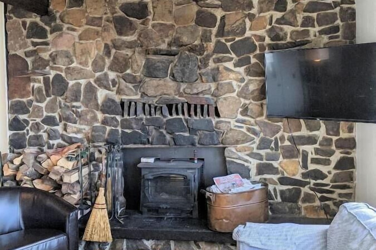 wood stove insert wood provided