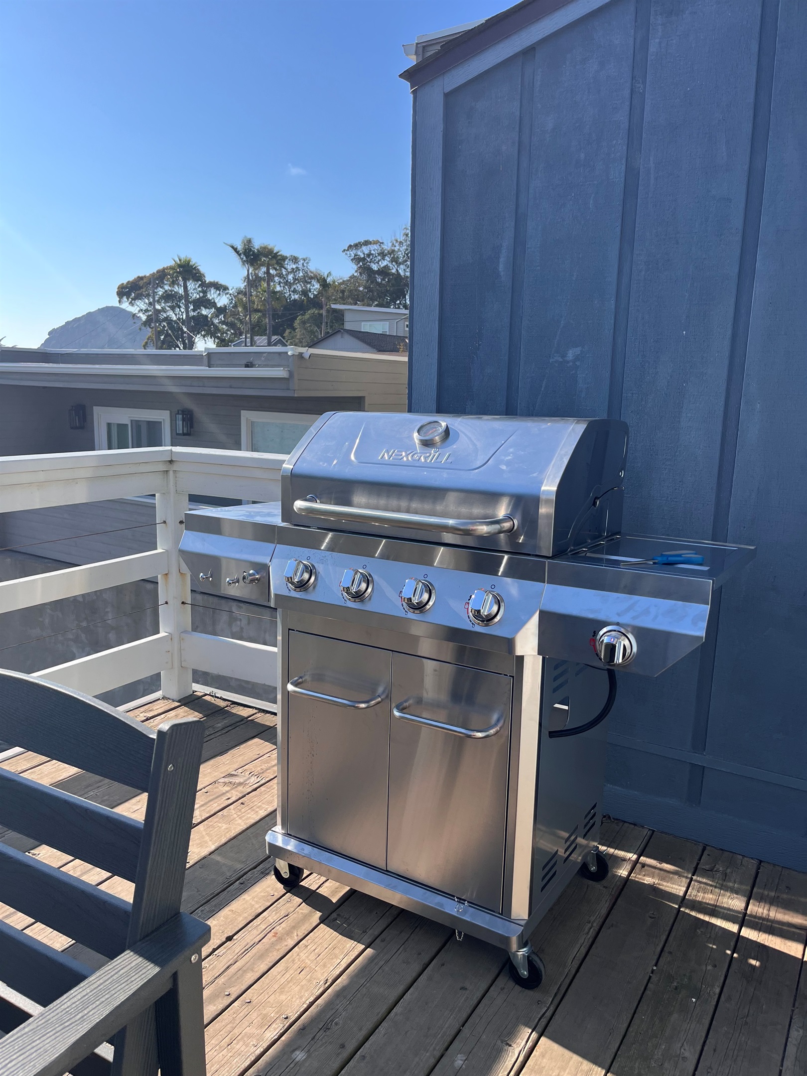 Recently added - Propane Grill