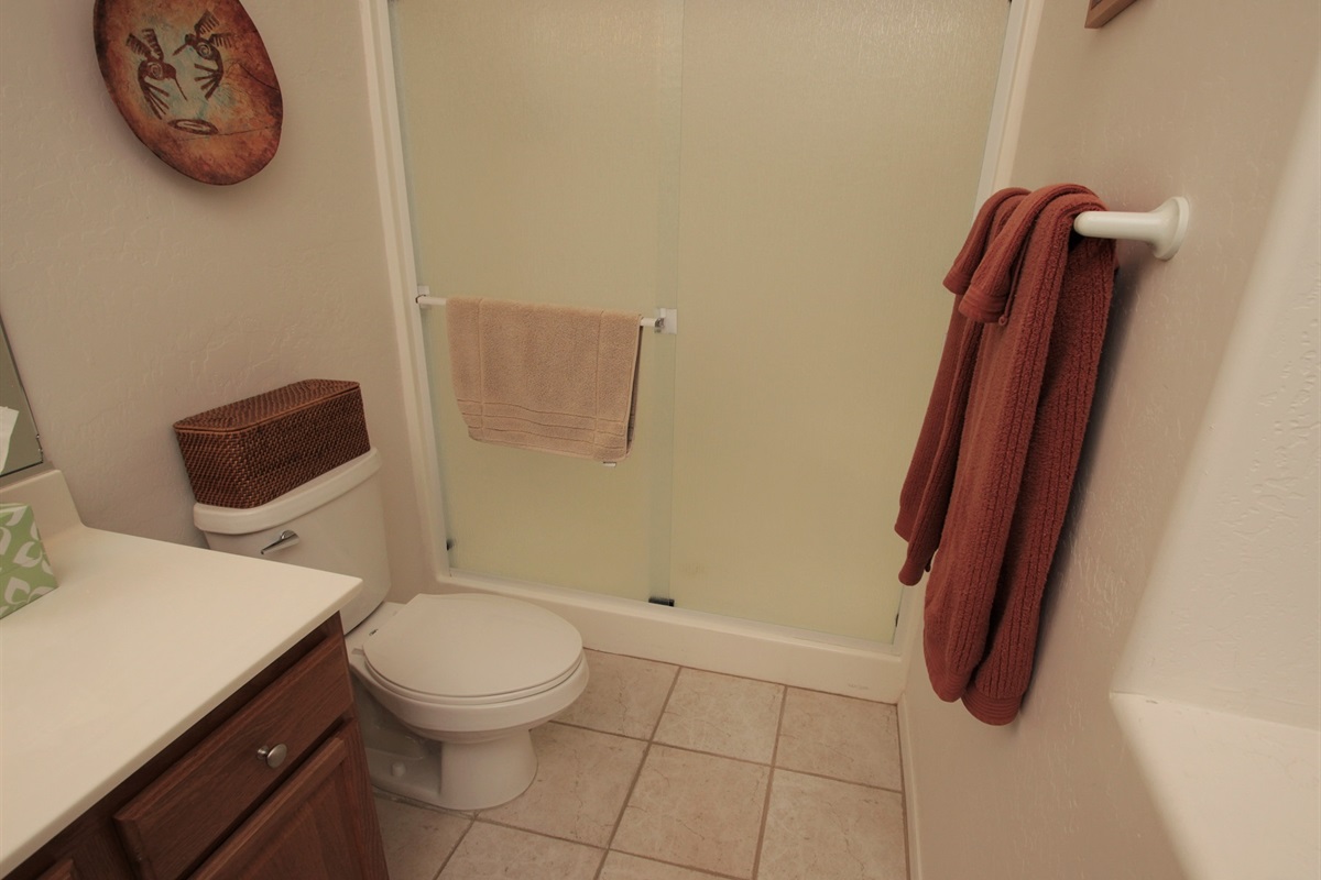 Tub shower combo in the guest bath