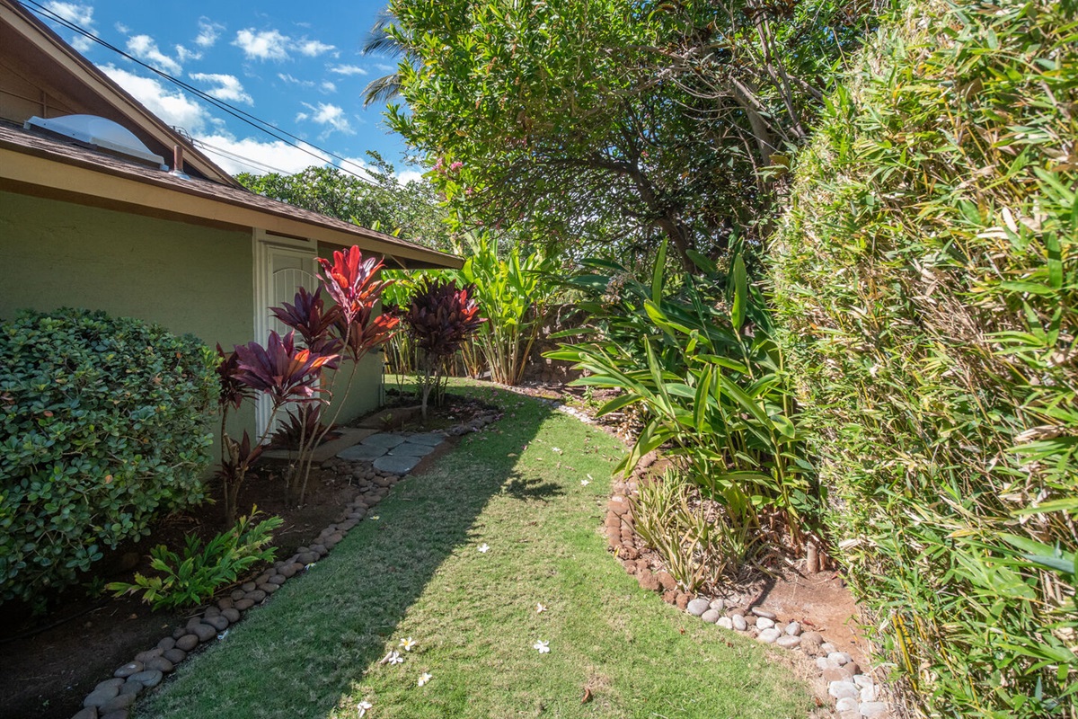 Side yard