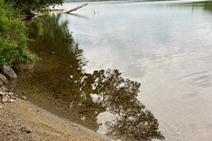 Common Areas "the beach"