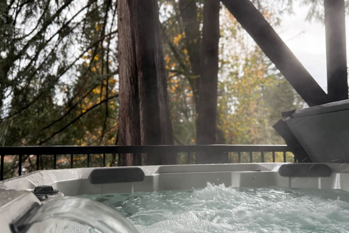 Luxury Hot Springs hot tub.