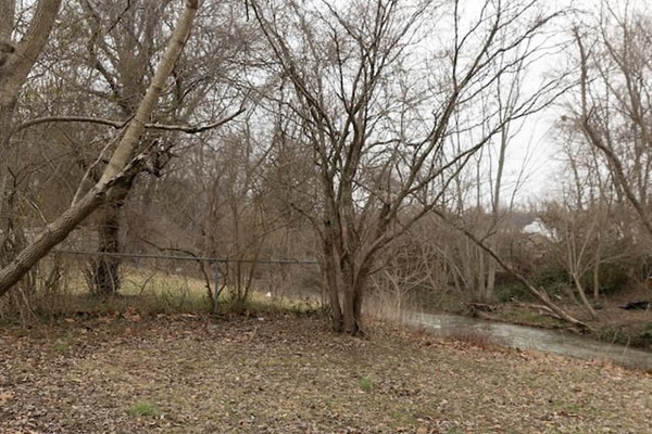 Nearby creek and wooded surroundings.
